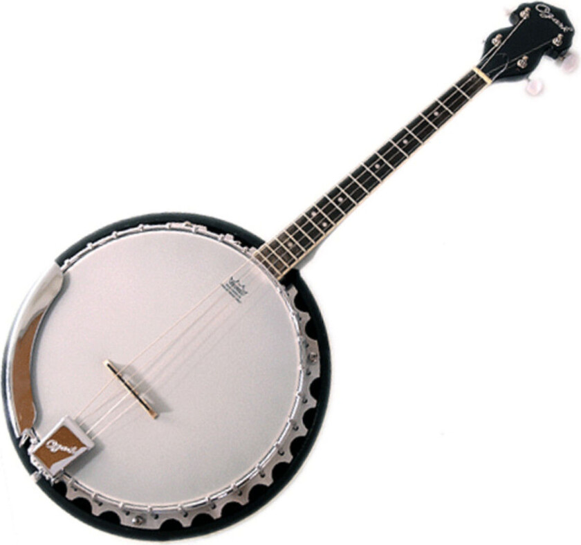 Short Scale Tenor Banjo with Gig Bag