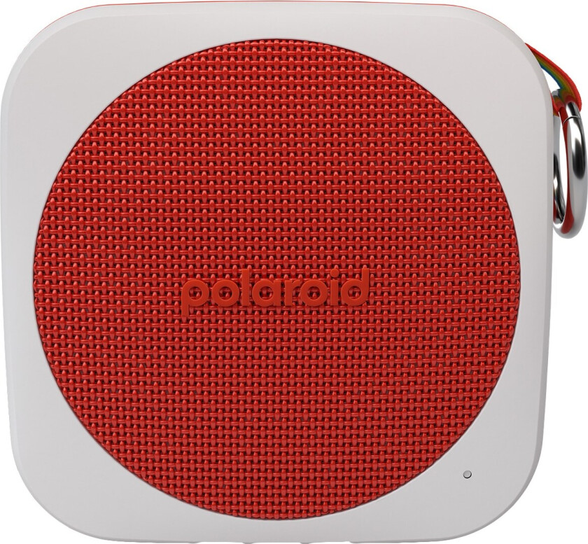 P1 - speaker - for portable use - wireless