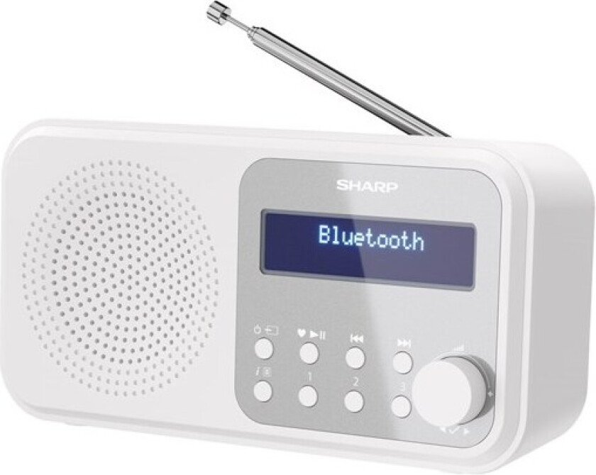 Tokyo DR-P420 - DAB portable radio - Bluetooth - DAB/DAB+/FM - Mono
