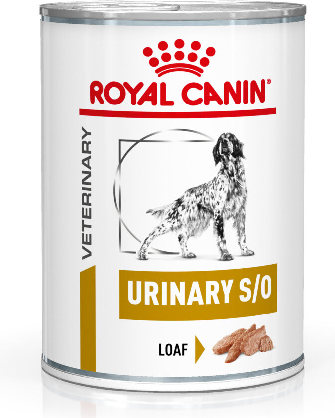 Royal Canin Urinary S/O Canine Mousse - Veterinary Diet - 12 x 410 g