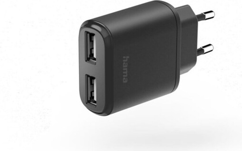 Charger 2xUSB-A 12W Black