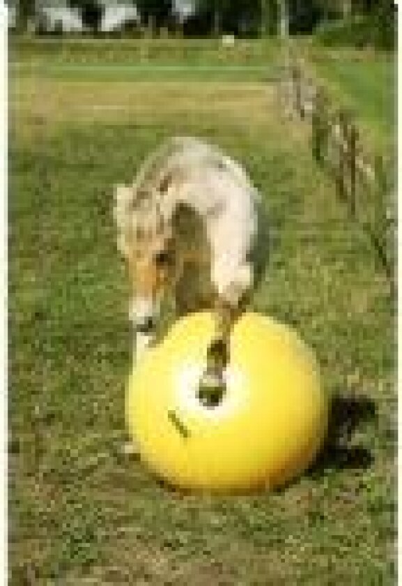 Maximus "Power" spille ball for hester - 100 cm