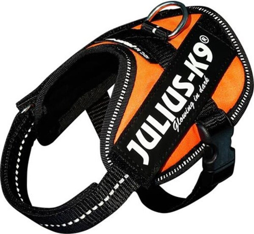 IDC® Puppy Valpesele - UV Orange (Baby2)