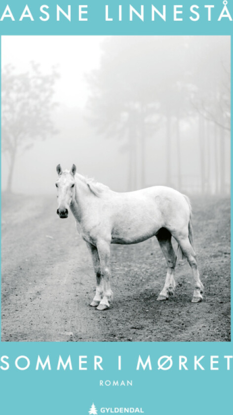 Sommer i mørket av Aasne Linnestå