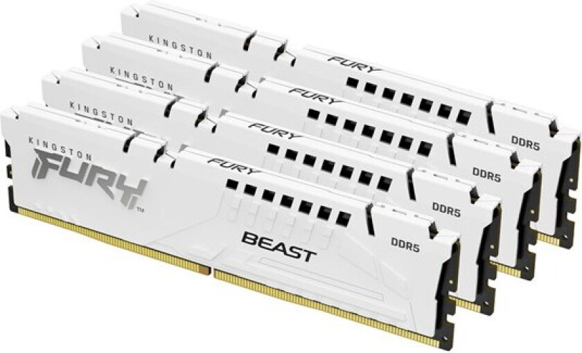 Bilde av FURY Beast DDR5-5200 C40 QC - 128GB