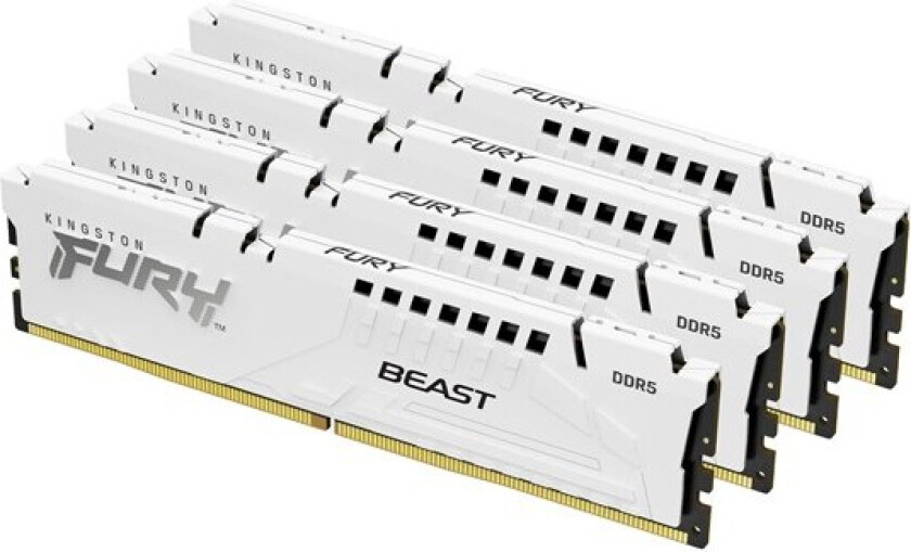 FURY Beast DDR5-6000 C40 QC - 64GB