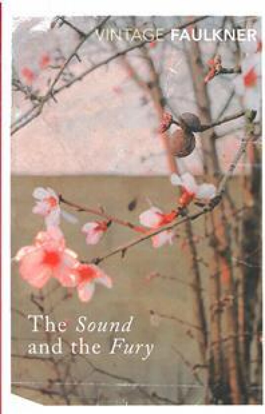 The Sound and the Fury av William Faulkner