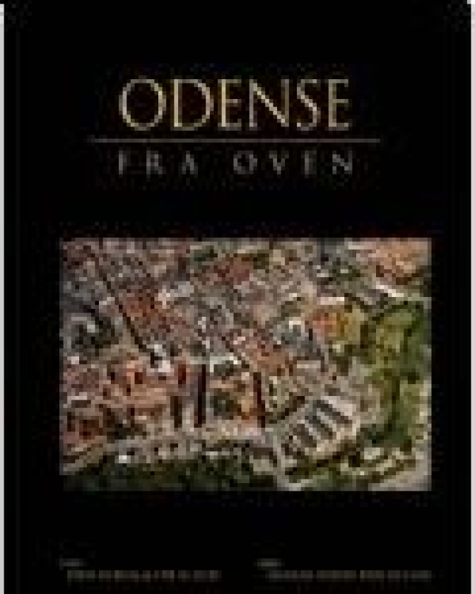 Odense fra oven Anders W. Berthelsen Språk: Dansk