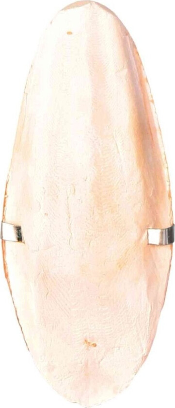 Trixie Sepiaskal med hållare