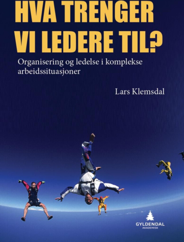 Hva trenger vi ledere til? av Lars Klemsdal