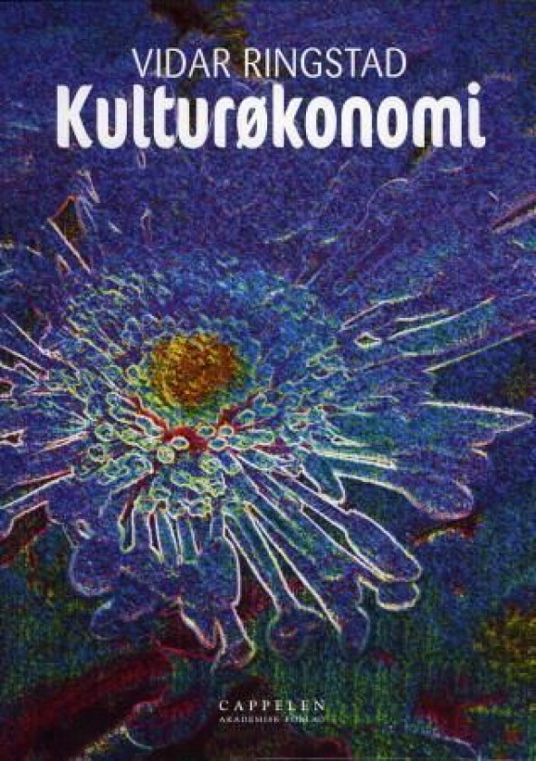 Kulturøkonomi av Vidar Ringstad