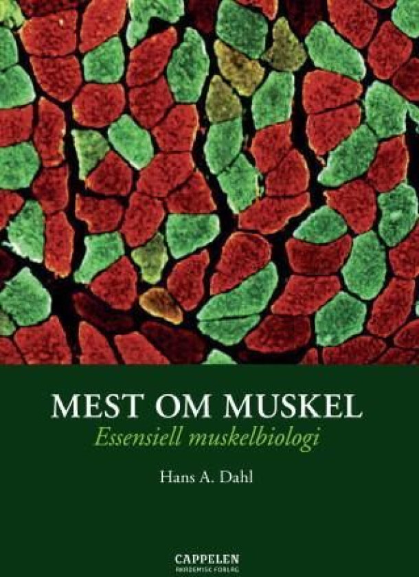 Mest om muskel av Hans A. Dahl