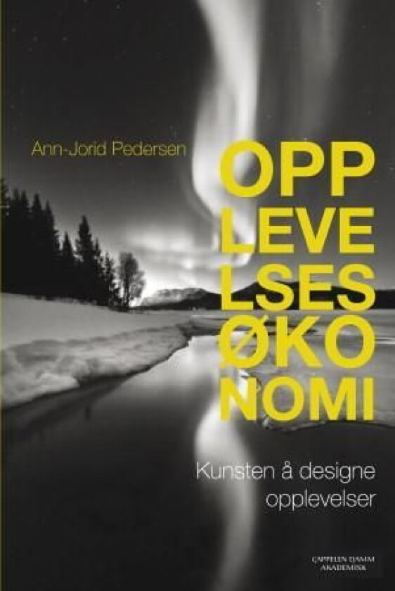 Opplevelsesøkonomi av Ann-Jorid Pedersen