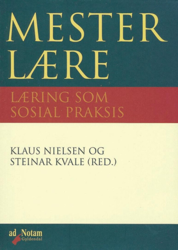 Mesterlære av Steinar Kvale, Klaus Nielsen