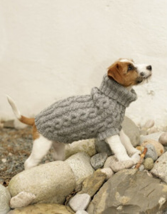 Bilde av The Lookout by DROPS Design - Hundegenser Strikkeoppskrift str. XS - M - Medium