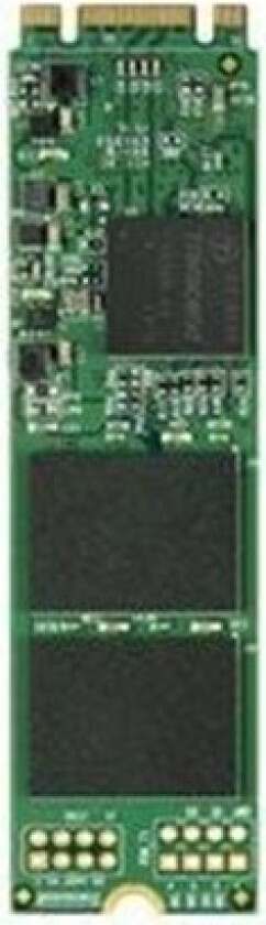 MTS800