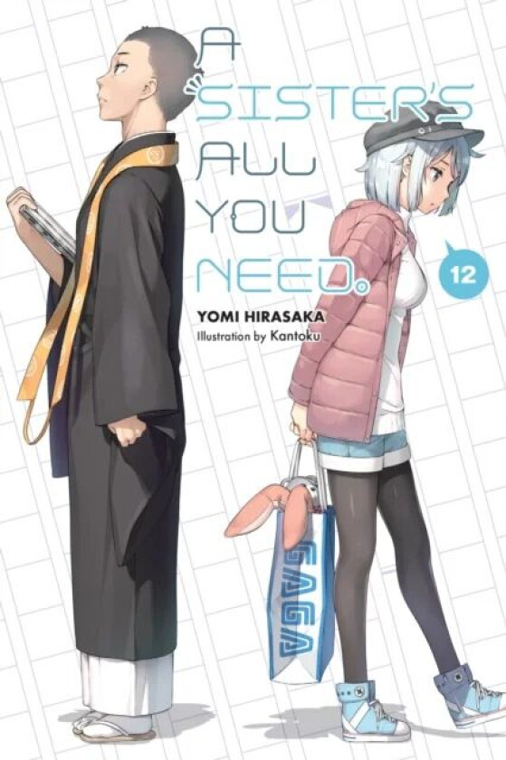 A Sister's All You Need., Vol. 12 (light novel) av Yomi Hirasaka
