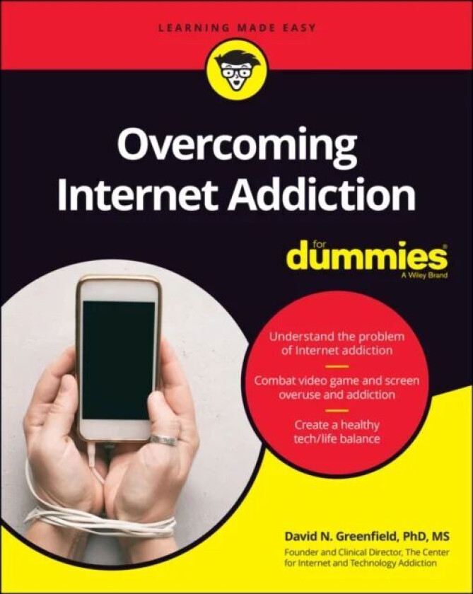 Overcoming Internet Addiction For Dummies av David N. Greenfield