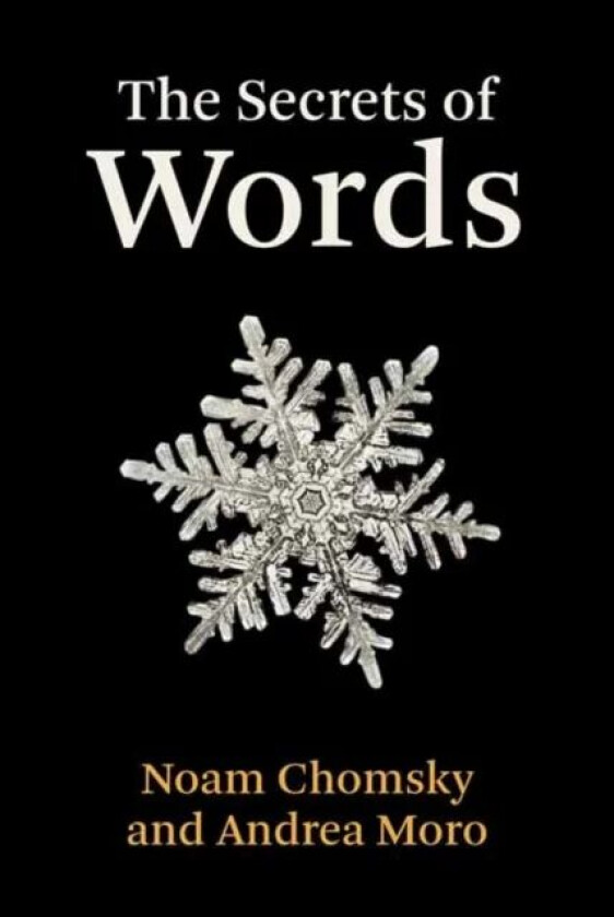 The Secrets of Words av Noam Chomsky, Andrea Moro