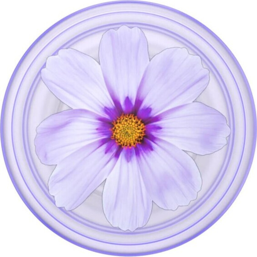 PopGrip Plant Purple Cosmo
