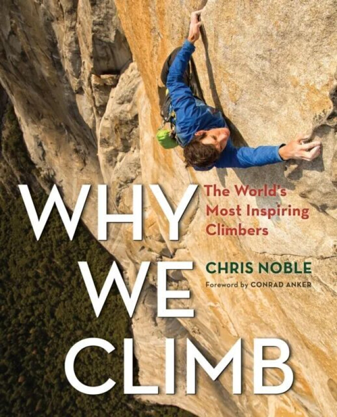 Why We Climb av Chris Noble