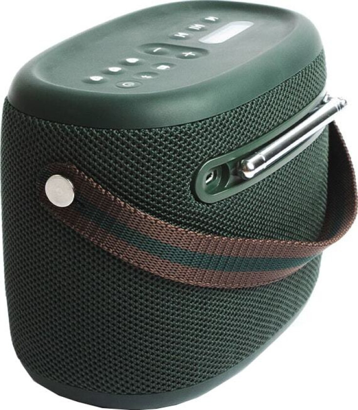 Radio AM/FM PURE WOODLAND