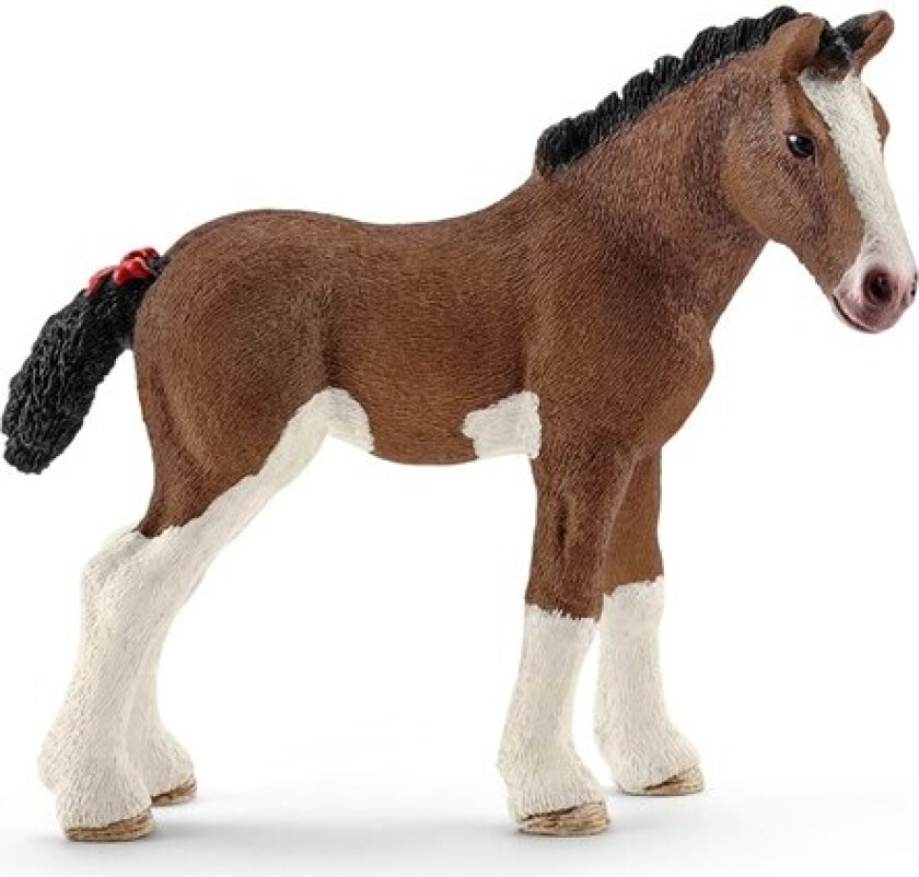 Clydesdale Horse foal