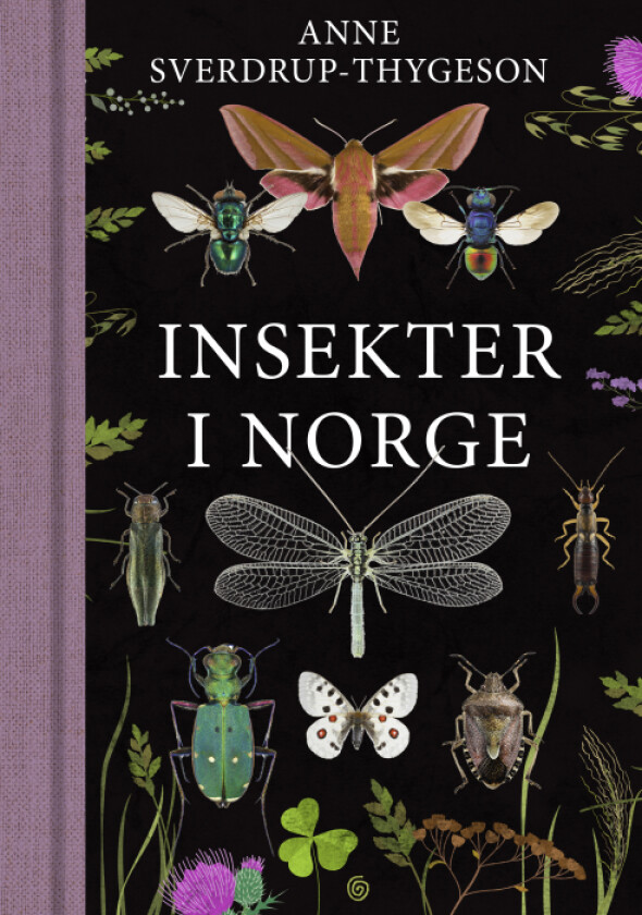 Insekter i Norge av Anne Sverdrup-Thygeson