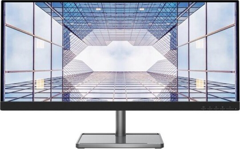 L29w-30 73,7 cm (29") 2560 x 1080 piksler Quad HD LED Sort, Sølv