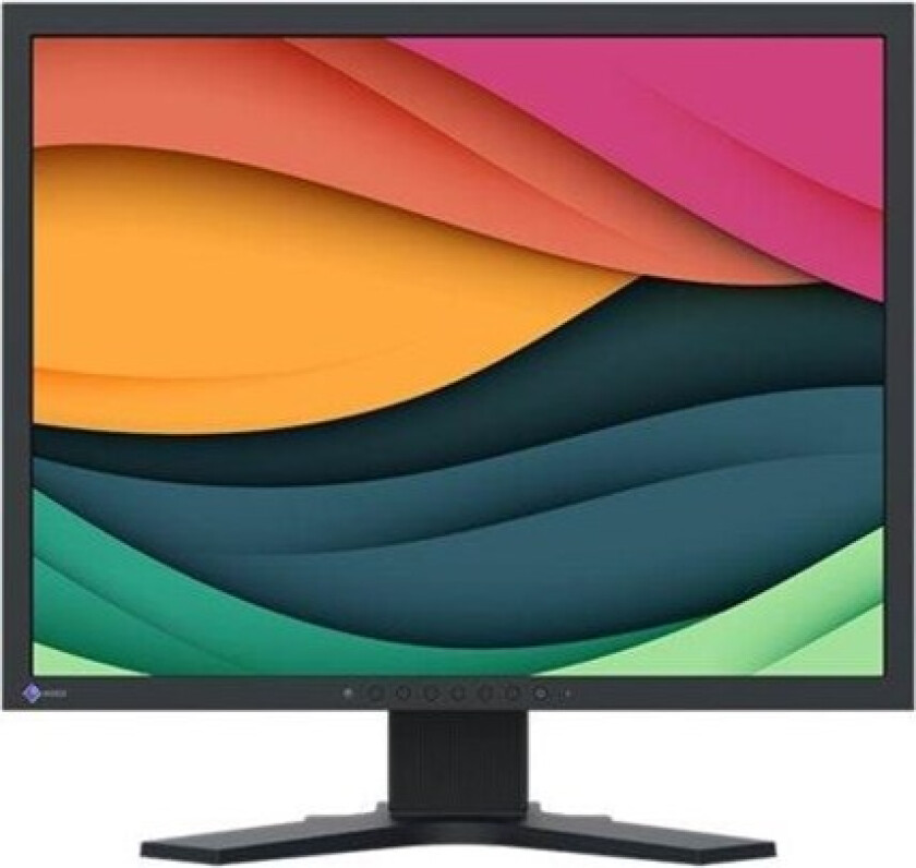 21" EIZO FlexScan S2134 - LED monitor - 21.3" - 6 ms - Skjerm