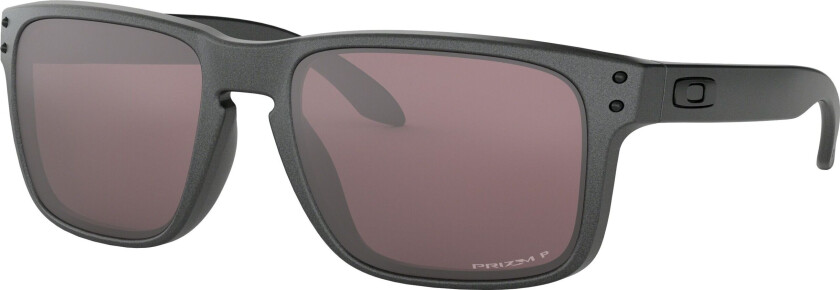 Holbrook Steel Polarized Prizm Daily Prizm Daily unisex