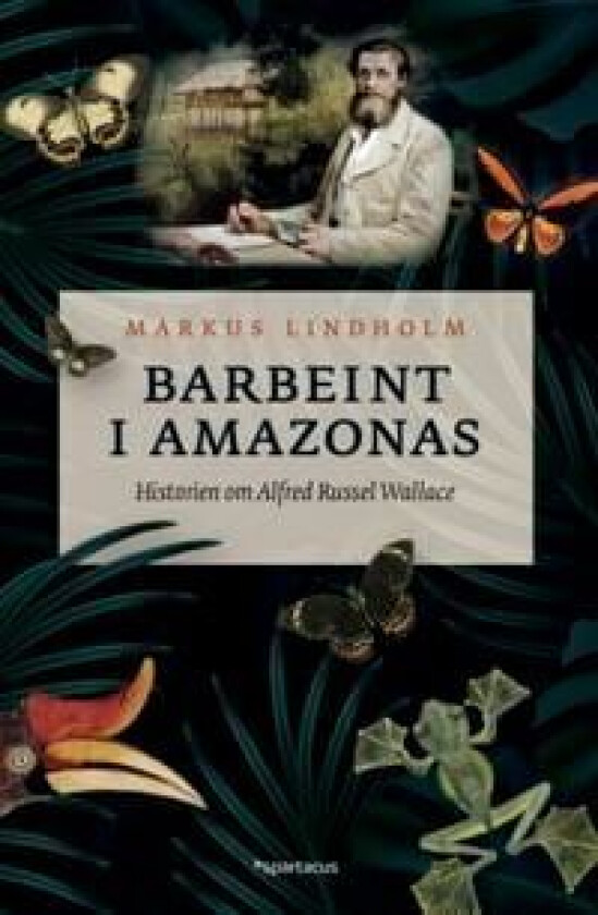 Barbeint i Amazonas av Markus Lindholm