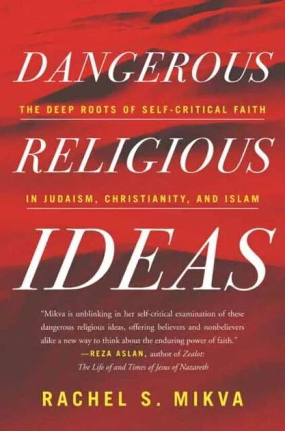Dangerous Religious Ideas av Rachel S. Mikva