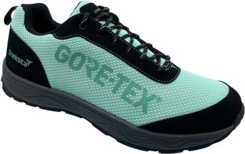 Campus Low GoreTex 36