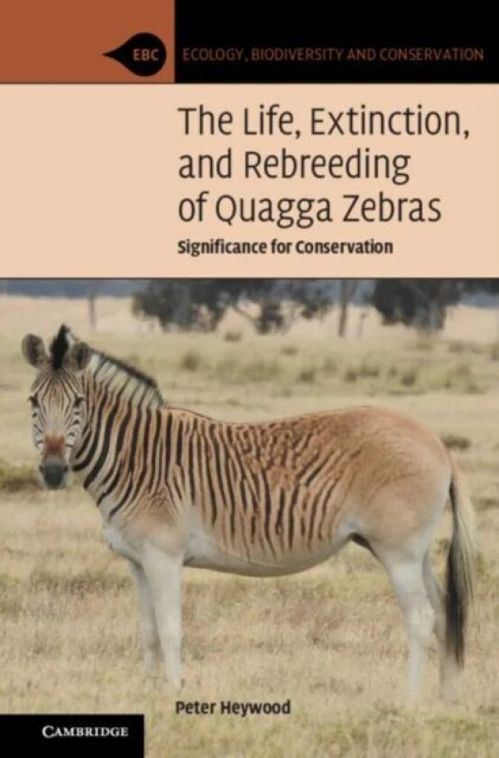 The Life, Extinction, and Rebreeding of Quagga Zebras av Peter (Brown University Rhode Island) Heywood