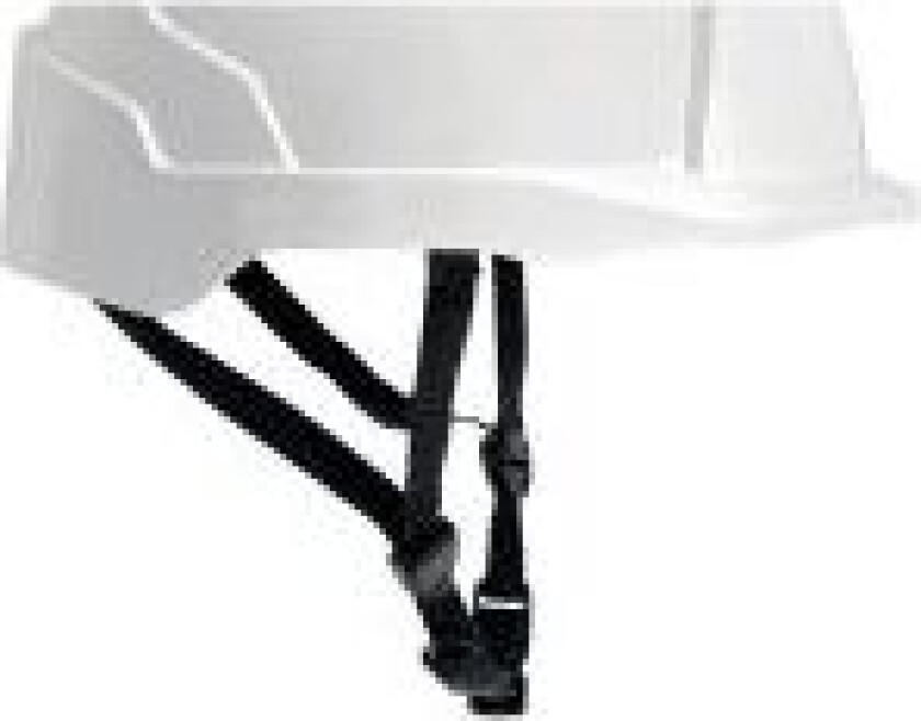 JSP EVO®LINESMAN AHV200-000-000 Hagestrop