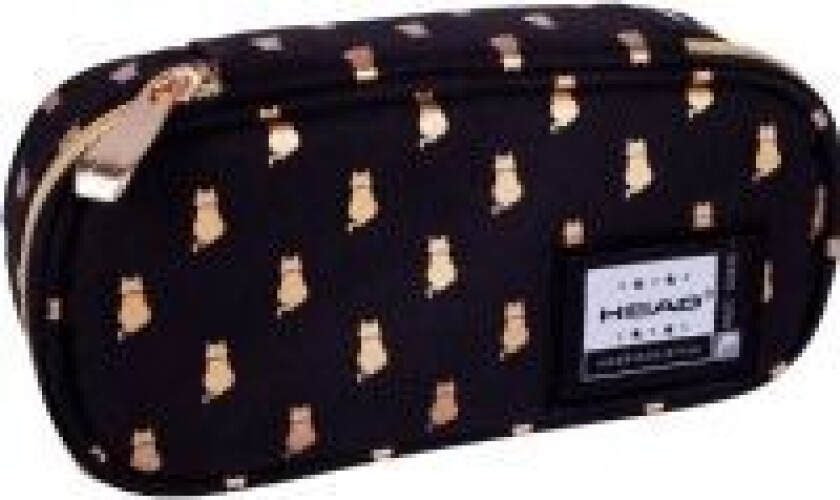 ASTRA pencil case art-pap Head AC5 Golden Kitty ASTRA pencil case