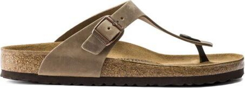 Gizeh Oiled Leather Regular - Tobacco Brown 37
