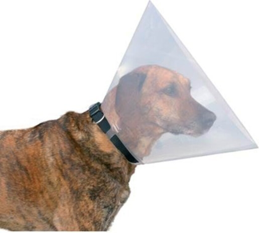 Protective collar plastic L: 44-50 cm/25 cm