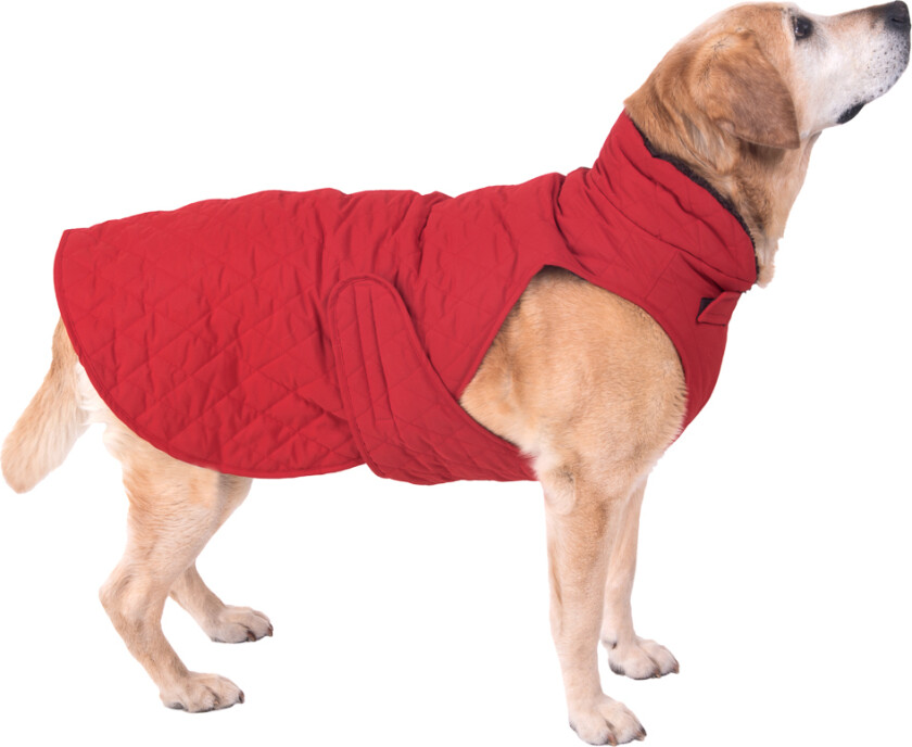 Hundejakke Steppmuster - ca. 70 cm Rygglengde