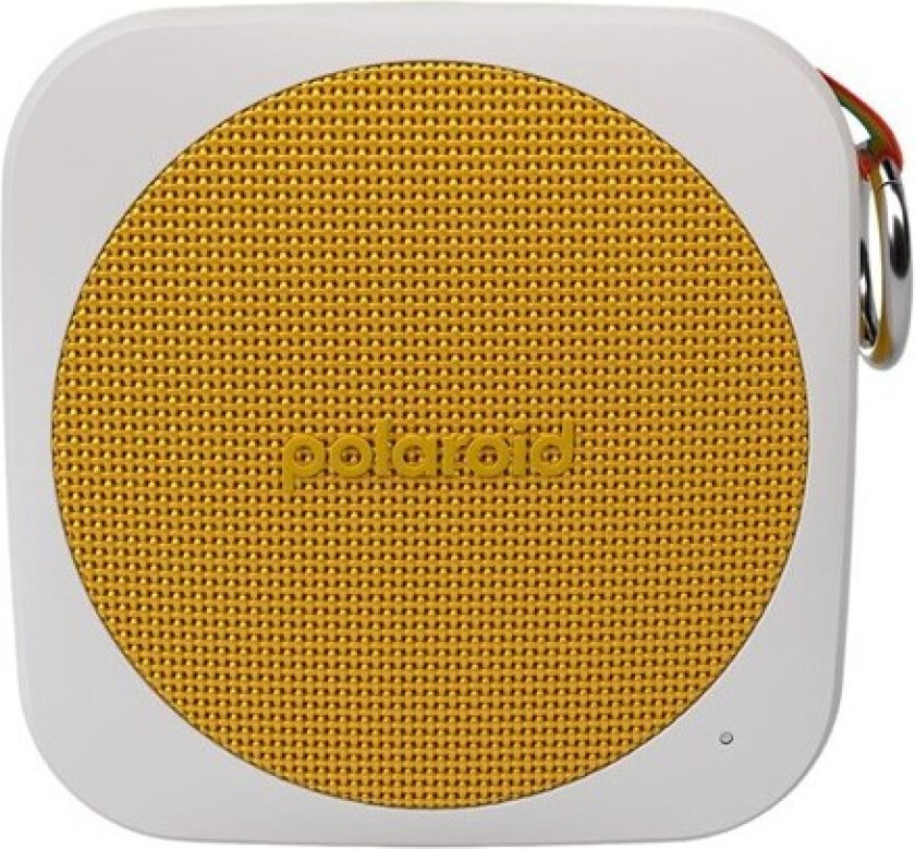P1 - speaker - for portable use - wireless