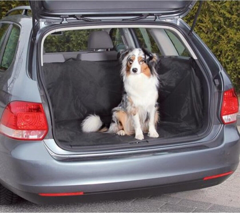 Bagasjebeskyttelse for hund Svart 230x170 cm