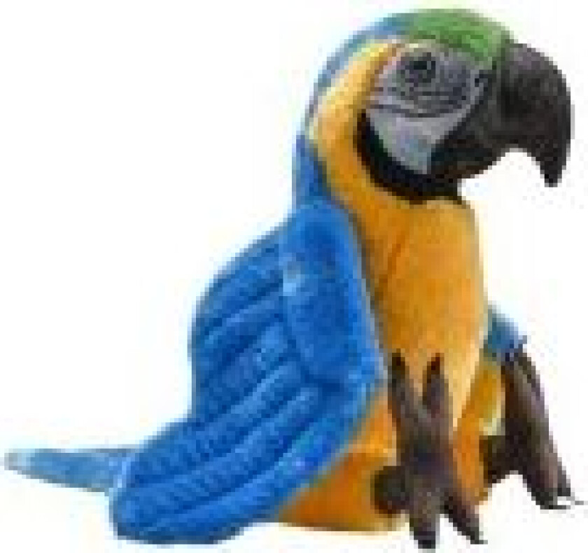 27439, leke papegøye