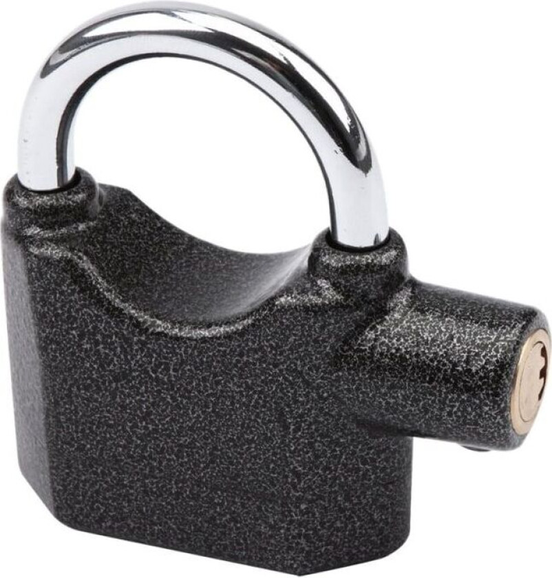 S 100 - Hengelås - nøkkel