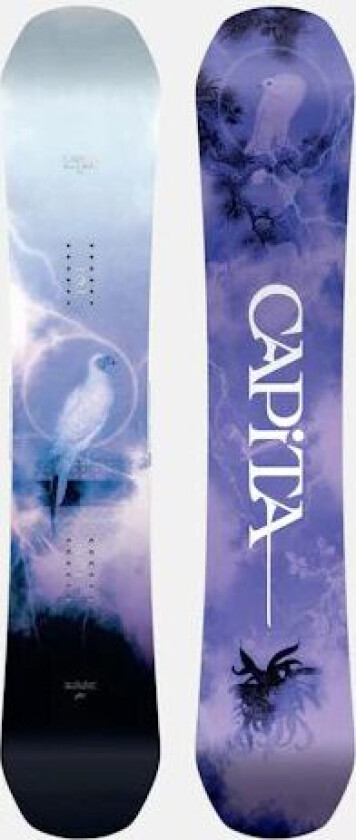 Capita Birds Of A Feather Snowboard Svart Unisex XL