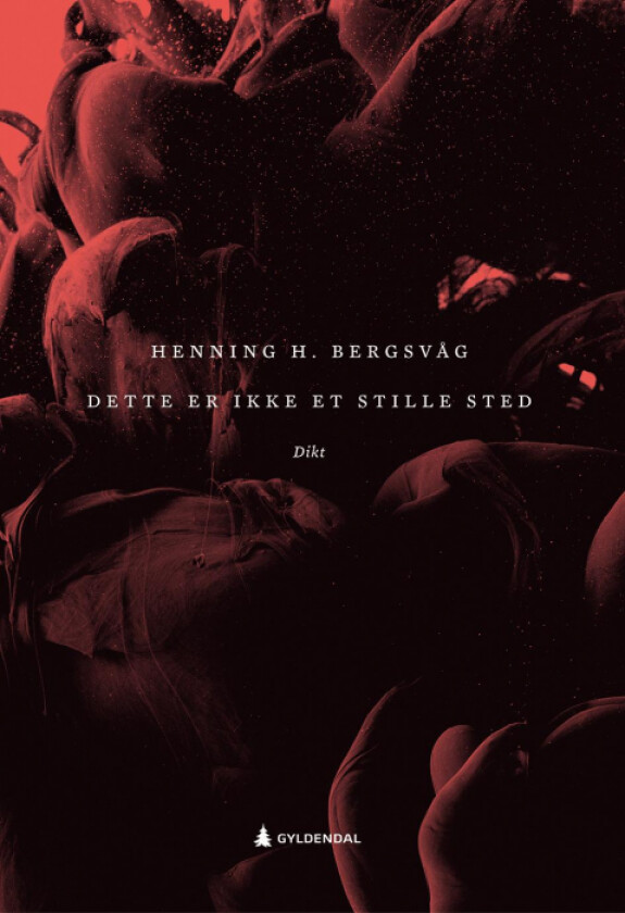 Dette er ikke et stille sted av Henning H. Bergsvåg