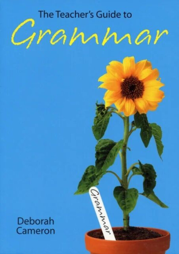 The Teacher's Guide to Grammar av Deborah (University of Oxford) Cameron