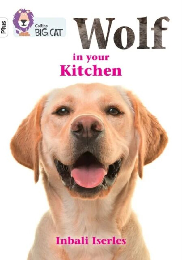 Wolf in your kitchen av Inbali Iserles