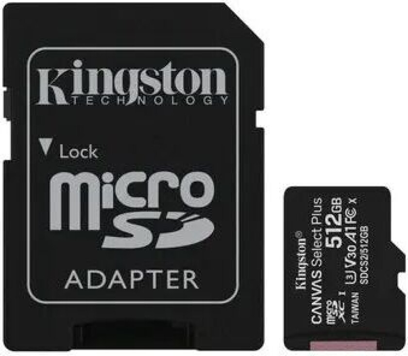 Canvas MicroSD 512GB