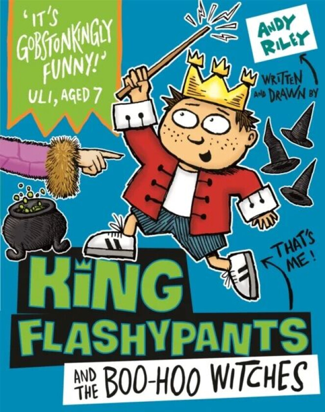King Flashypants and the Boo-Hoo Witches av Andy Riley